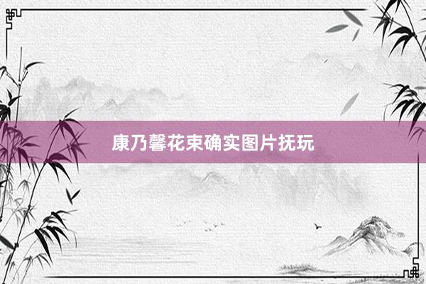 康乃馨花束确实图片抚玩