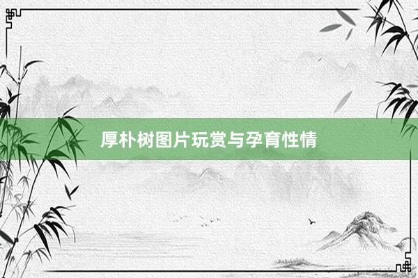 厚朴树图片玩赏与孕育性情